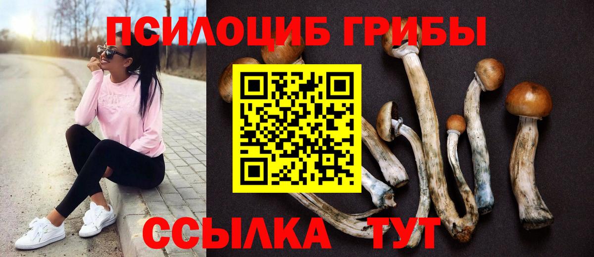 Биробиджан  Галлюциногенные грибы Psilocybine cubensis  Псилоцибиновые грибы Psilocybine cubensis  Вход с VPN 